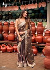 Lightning Vol 22 By LT Nc Malai Silk Designer Saree Wholesalers In Surat
